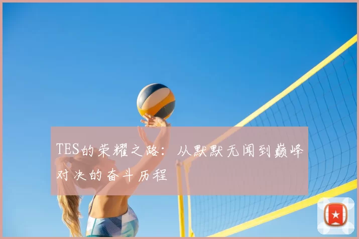TES的荣耀之路：从默默无闻到巅峰对决的奋斗历程
