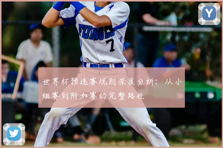 世界杯预选赛规则深度分析:从小组赛到附加赛的完整路径