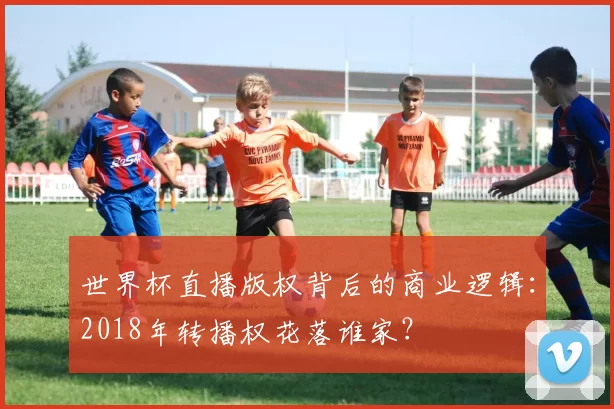 世界杯直播版权背后的商业逻辑:2018年转播权花落谁家?