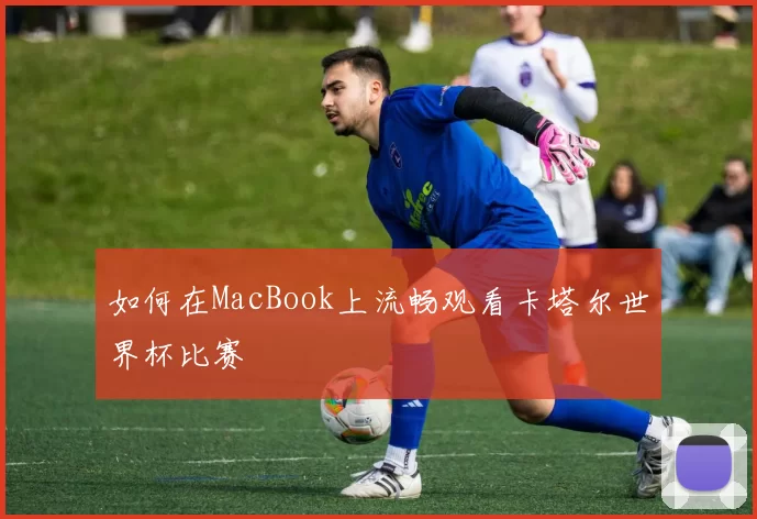 如何在MacBook上流畅观看卡塔尔世界杯比赛