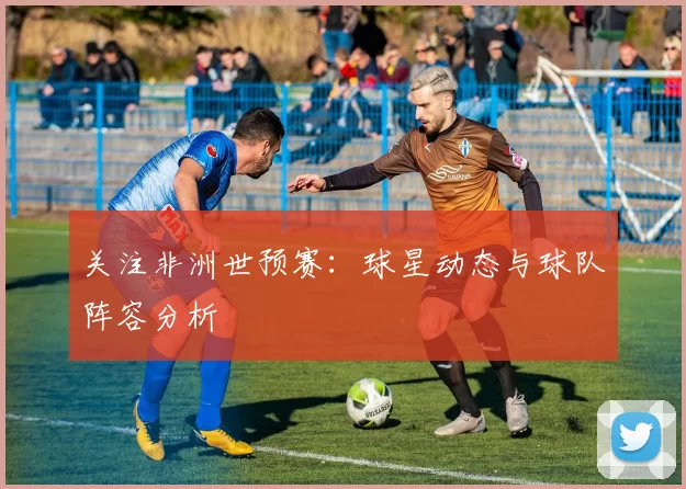 关注非洲世预赛:球星动态与球队阵容分析