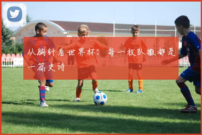 从胸针看世界杯：每一枚队徽都是一篇史诗