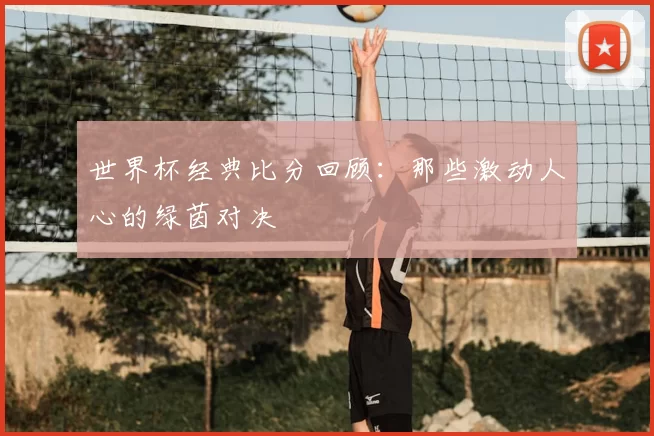 世界杯经典比分回顾:那些激动人心的绿茵对决