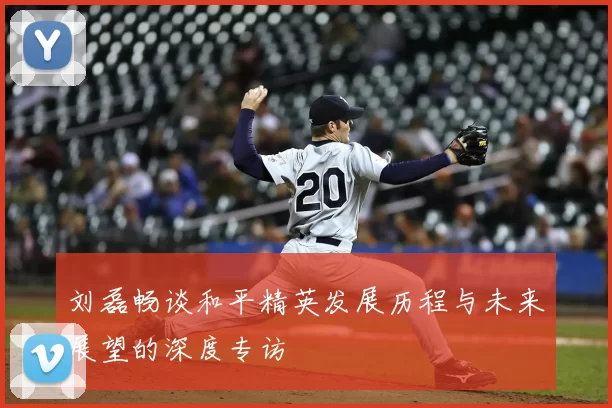 刘磊畅谈和平精英发展历程与未来展望的深度专访