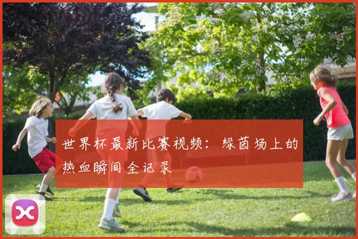 世界杯最新比赛视频:绿茵场上的热血瞬间全记录