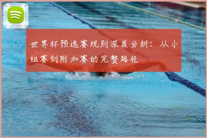 世界杯预选赛规则深度分析：从小组赛到附加赛的完整路径