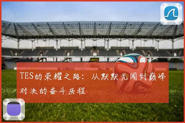 TES的荣耀之路：从默默无闻到巅峰对决的奋斗历程